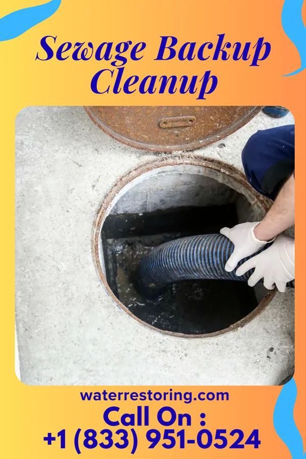 Sewage Backup Cleanup in Boligee, AL